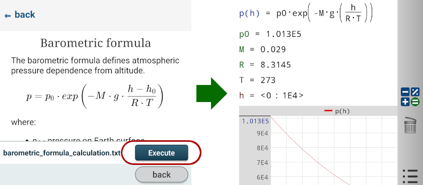 execute_problem_step