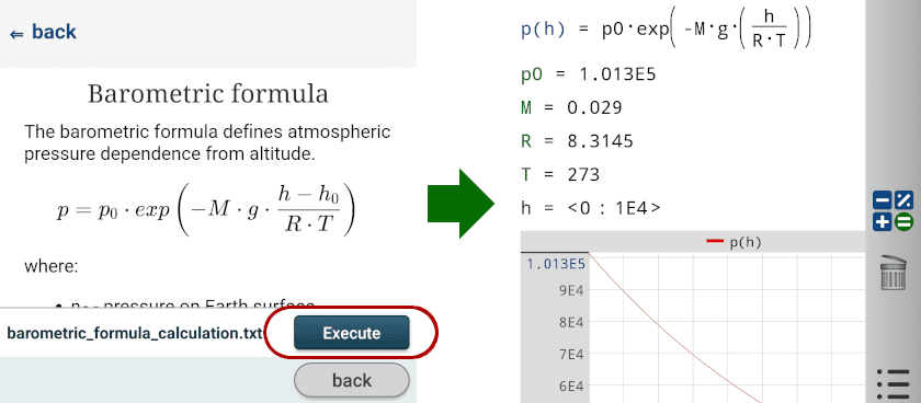 execute_problem_step